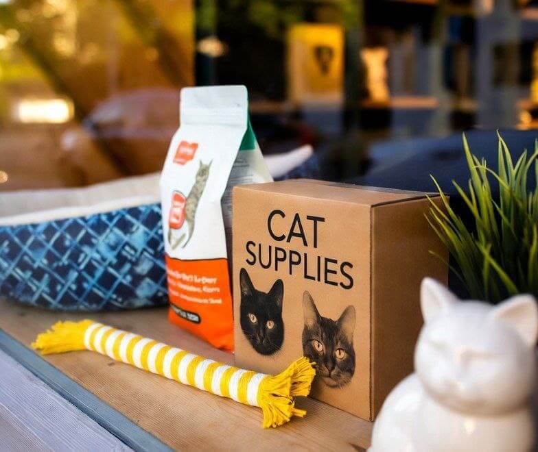 Cat products – food, toys, grooming tools, beds, and accessories for all cats