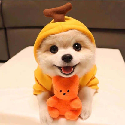 Small Dog Hoodies Funny Fruit Clothes – Warm Puppy Sweater for Autumn & Winter