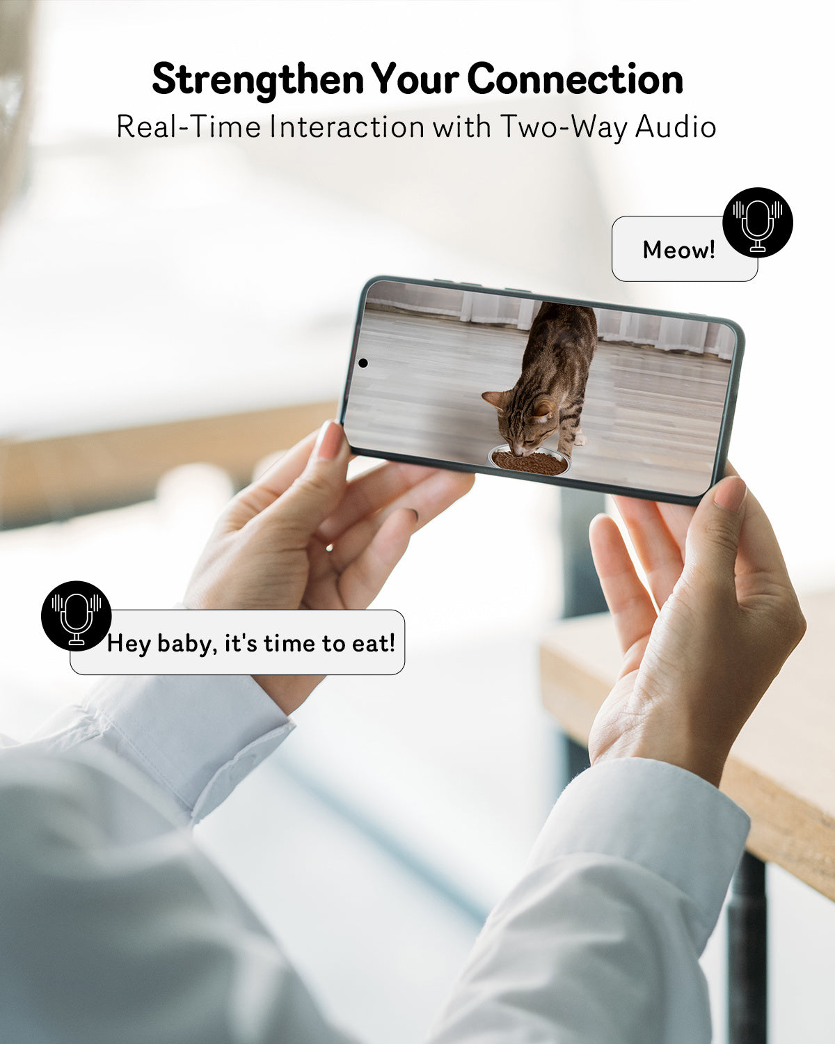 best automatic cat feeder with camera
