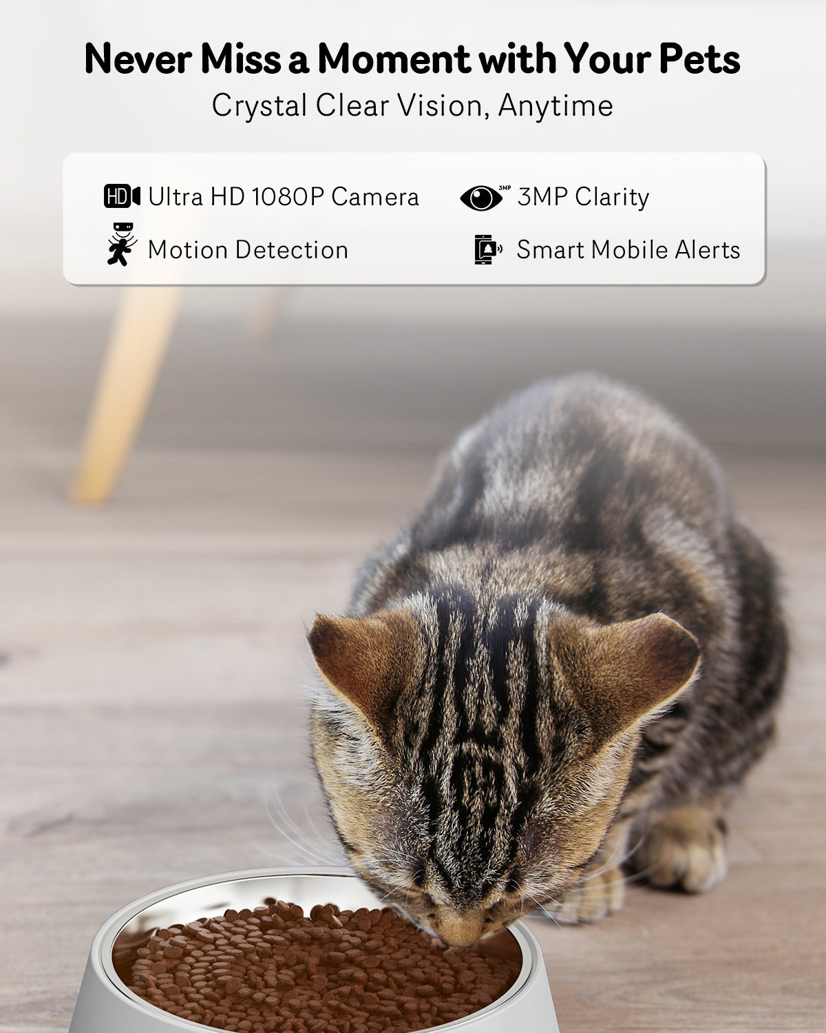 best automatic cat feeder with camera
