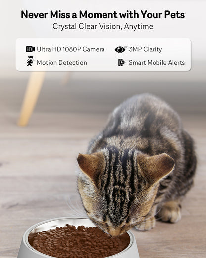 best automatic cat feeder with camera
