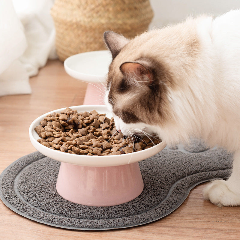 ceramic water bowl for cats