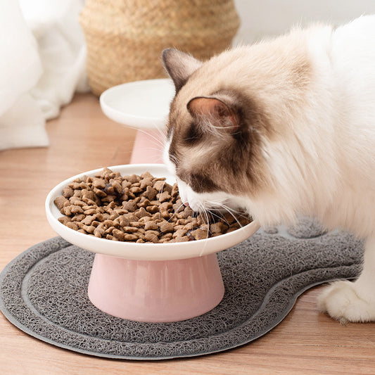 ceramic water bowl for cats