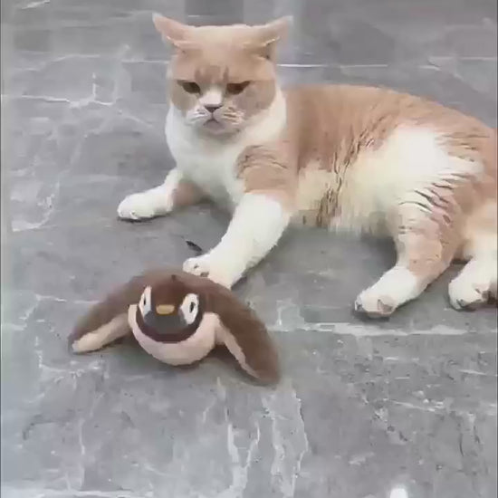 Chirping Bird Cat Toy video