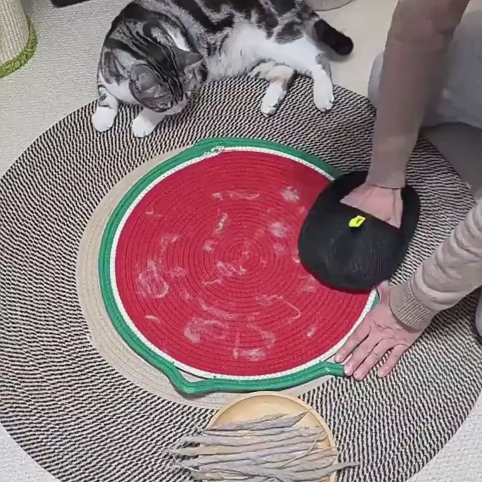 Pet Grooming Gloves for Cats Dogs Hair Remover Deshedding Massaging Mitts