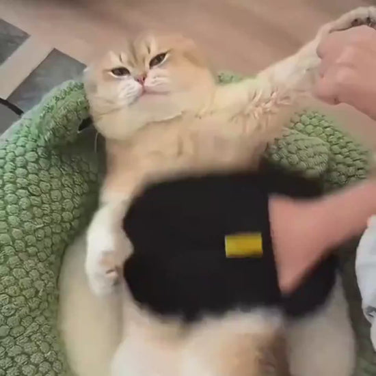 Pet Grooming Gloves for Cats Dogs Hair Remover Deshedding Massaging Mitts