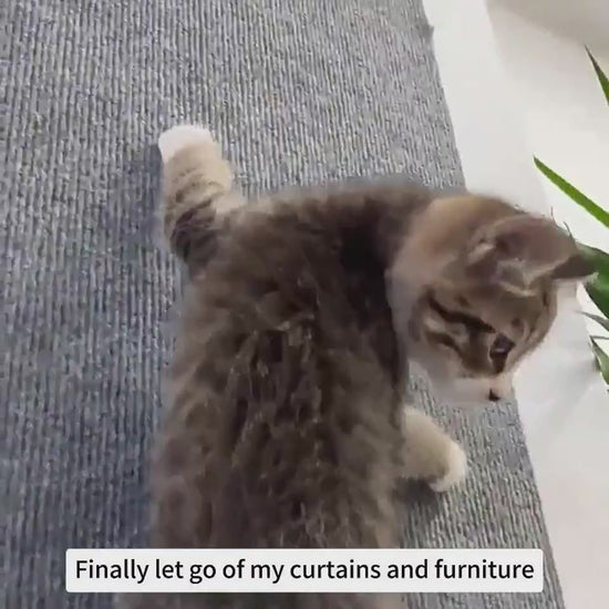 Climbing cat scratch mat for small dogs and cats