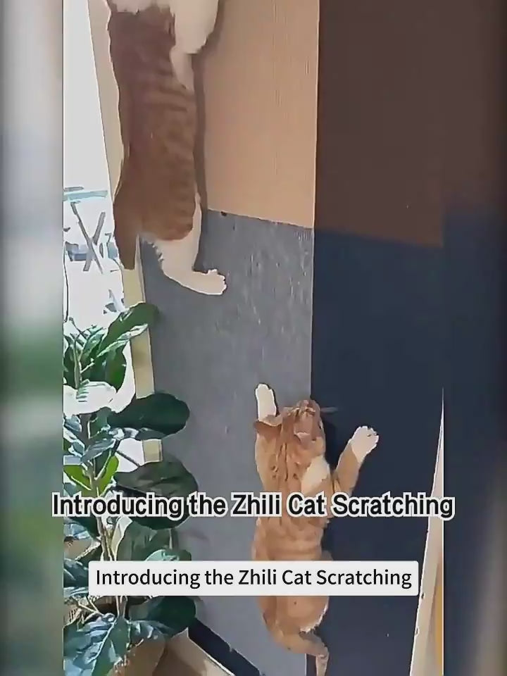 Climbing cat scratch mat for small dogs and cats