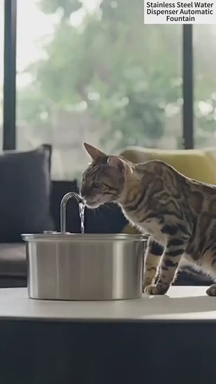 stainless steel dog water dispenser
