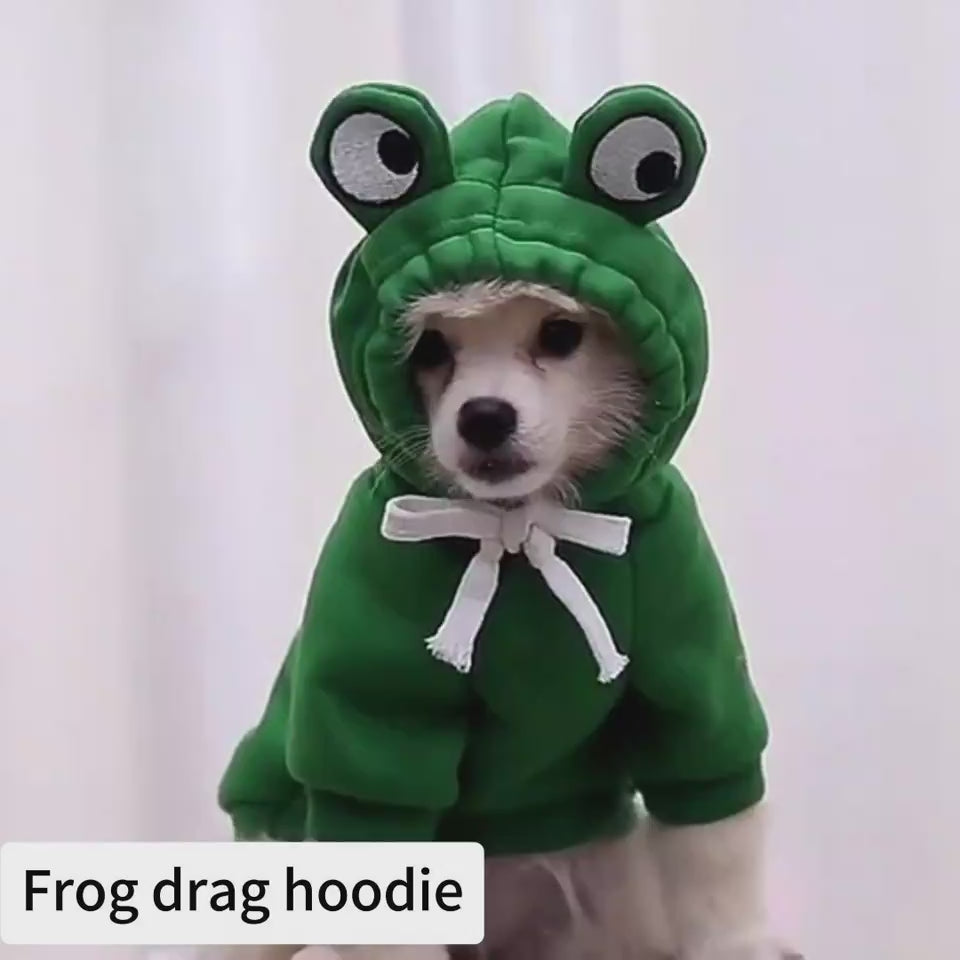 cute puppy hoodie warm winter wear